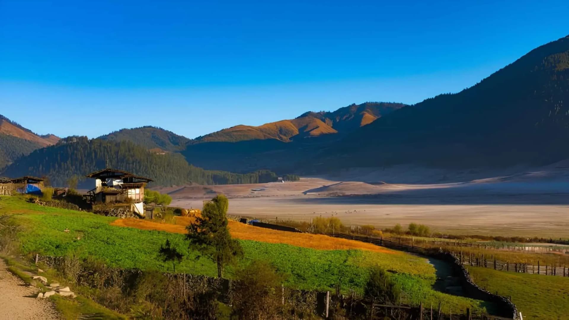 24 October – Punakha to Gangtey: Highland Cranes & Glamping Under Stars