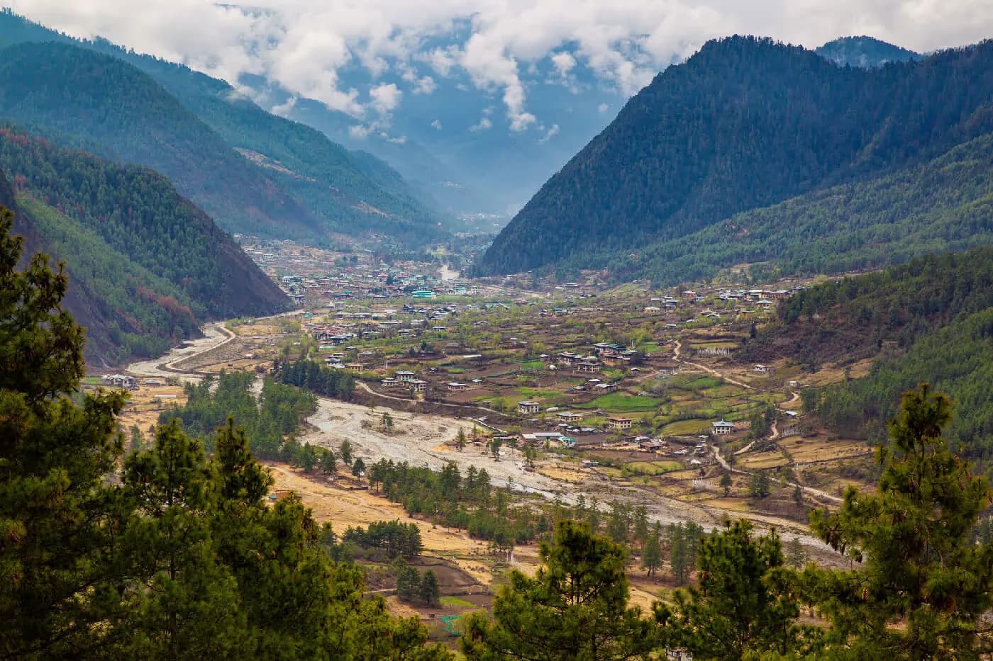 Punakha to Haa Valley – Highest Pass & Highland Rhythms